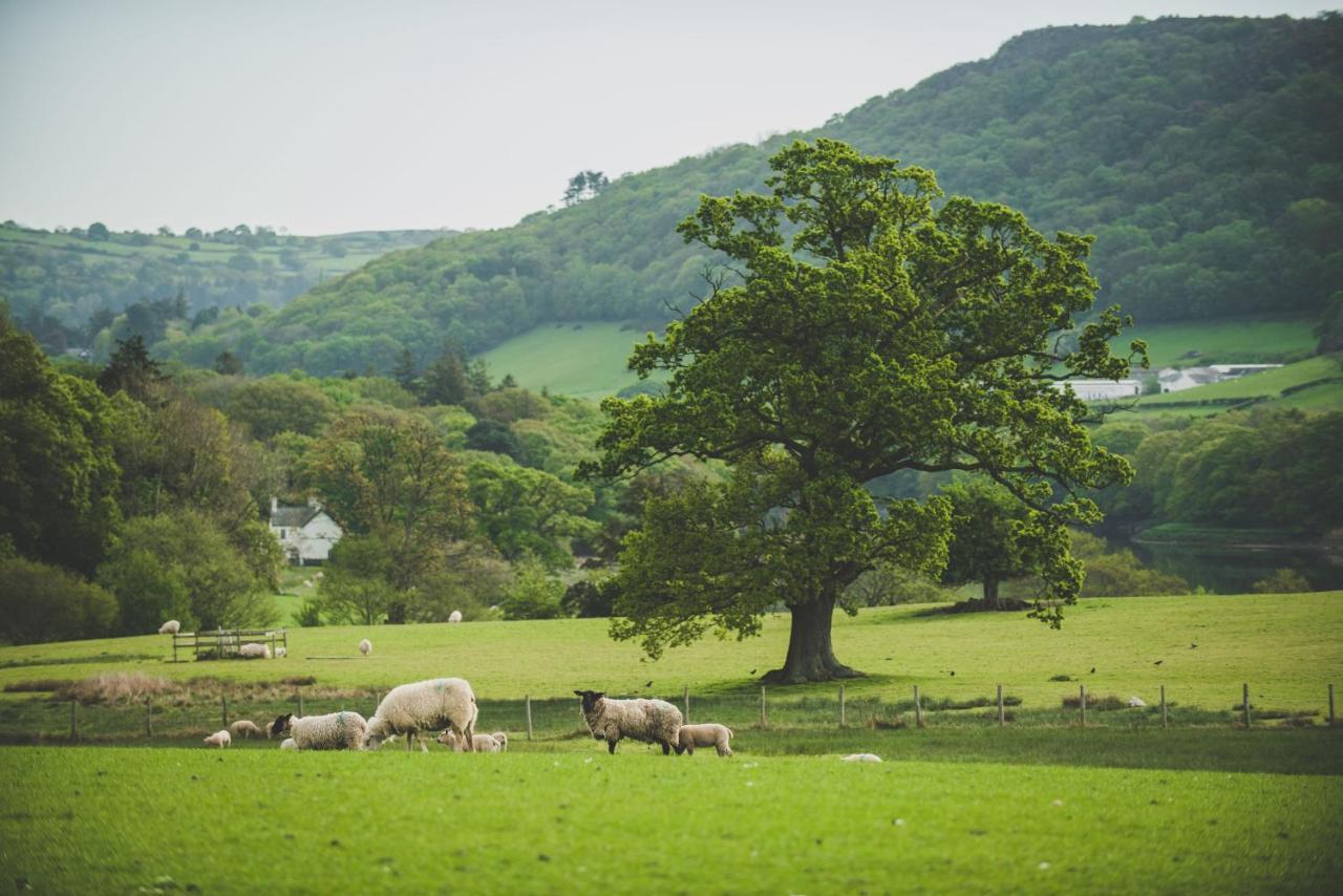 Caer Rhun Hall Hotel Conwy Εξωτερικό φωτογραφία